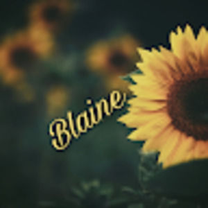 Meet your Posher, Blaine